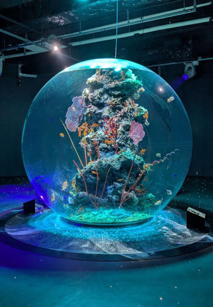 アトアのアクアリウム