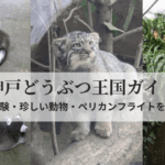 神戸どうぶつ王国のふれあい体験の様子